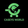 caseysworld333